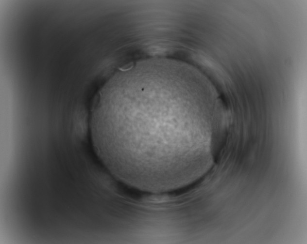 X0000092300554200709211233