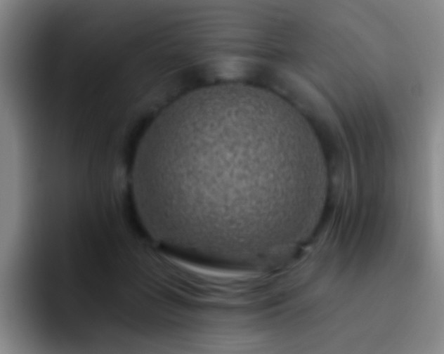 X0000092300555200709211233