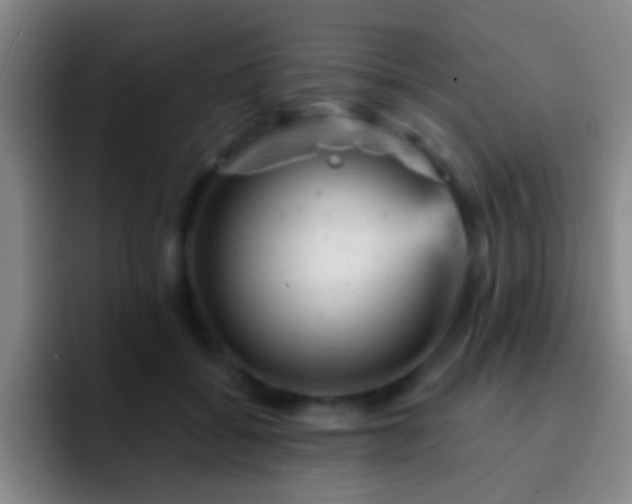 X0000092300556200709211233