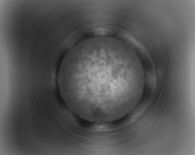 X0000092300557200709211233