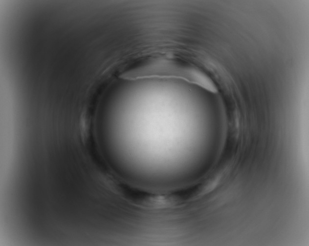 X0000092300558200709211233