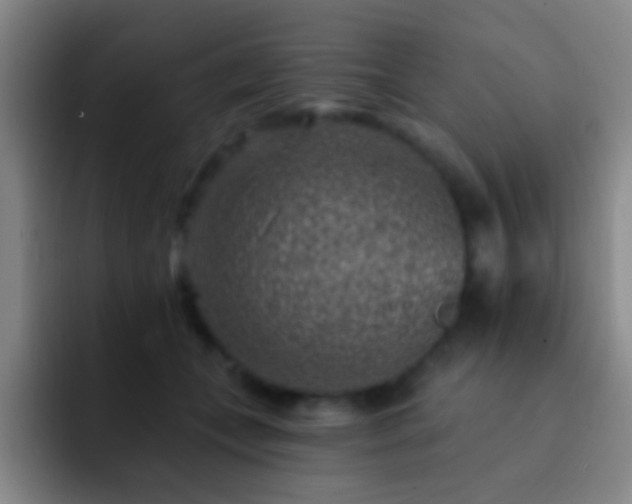 X0000092300559200709211233