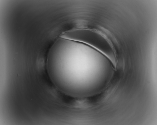 X0000092300560200709211233