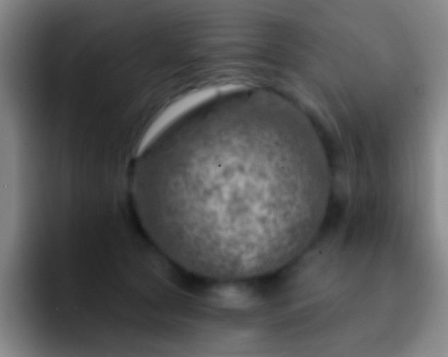 X0000092300561200709211233