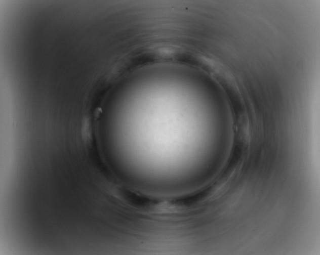 X0000092300562200709211233