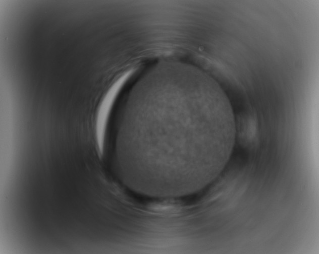X0000092300563200709211233