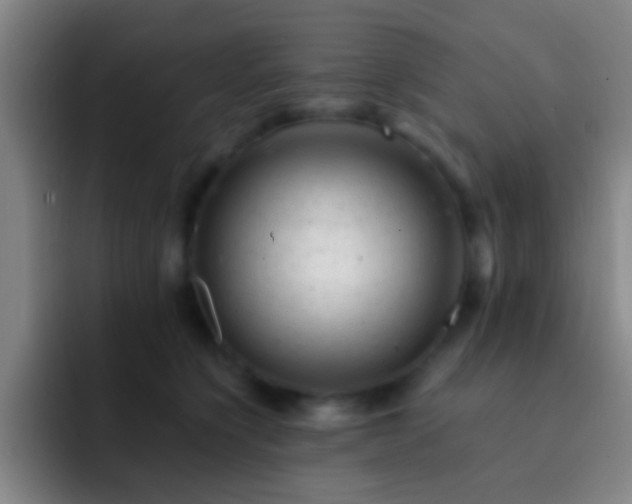 X0000092300564200709211233
