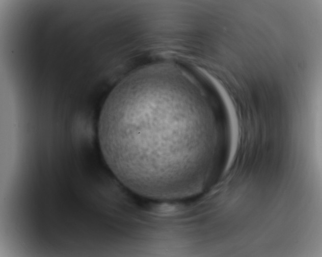 X0000092300566200709211233