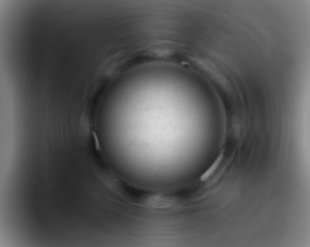 X0000092300568200709211233