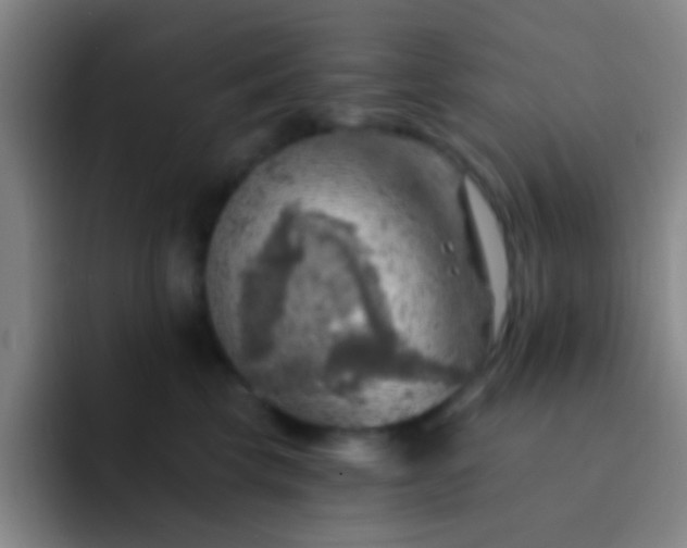 X0000092300569200709211233