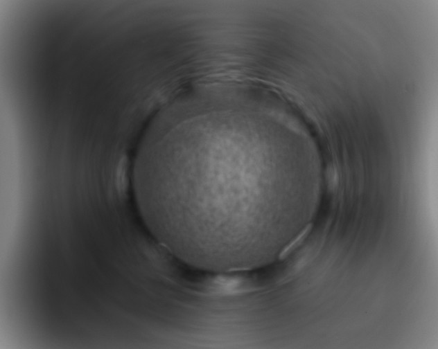 X0000092300570200709211233