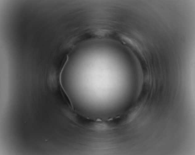 X0000092300572200709211233