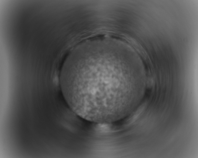 X0000092300573200709211233