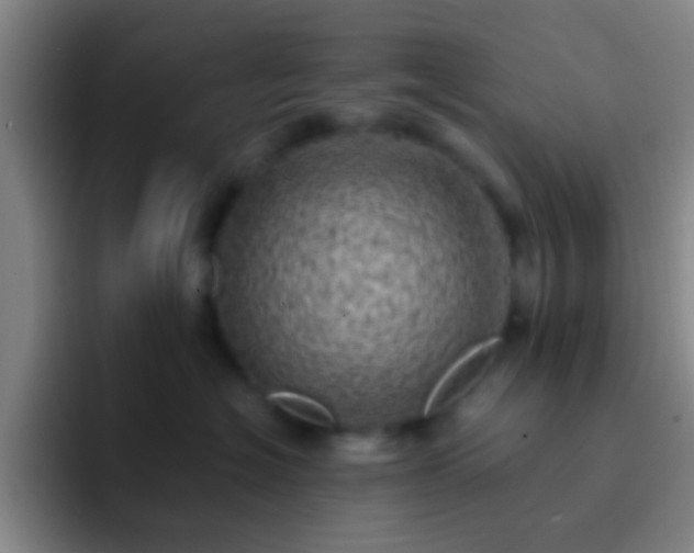 X0000092300574200709211233