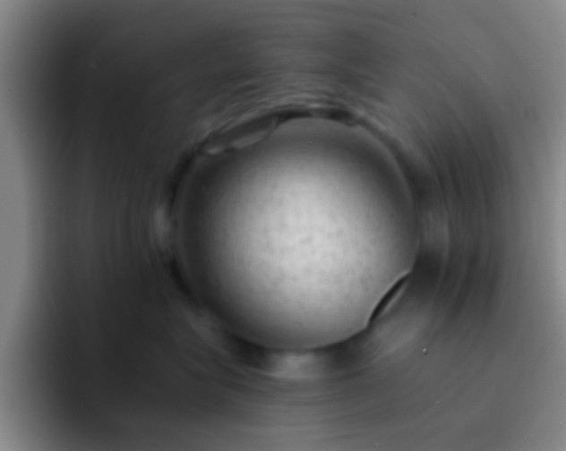 X0000092300575200709211233