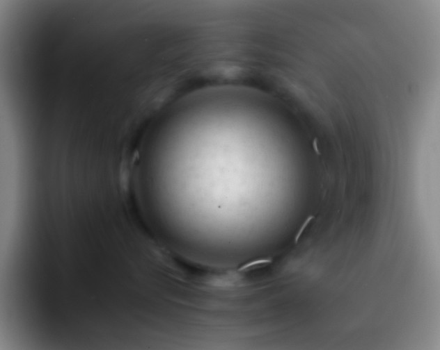 X0000092300576200709211233