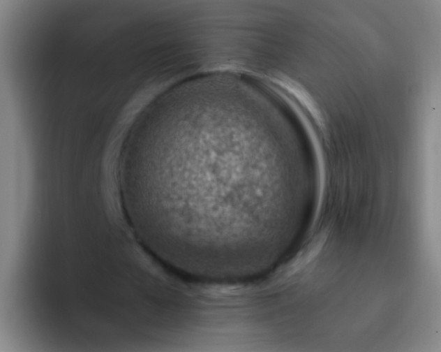 X0000092300577200709211233
