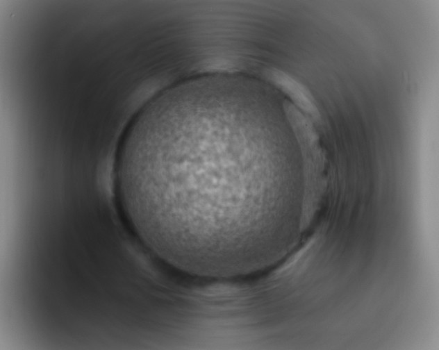 X0000092300578200709211233