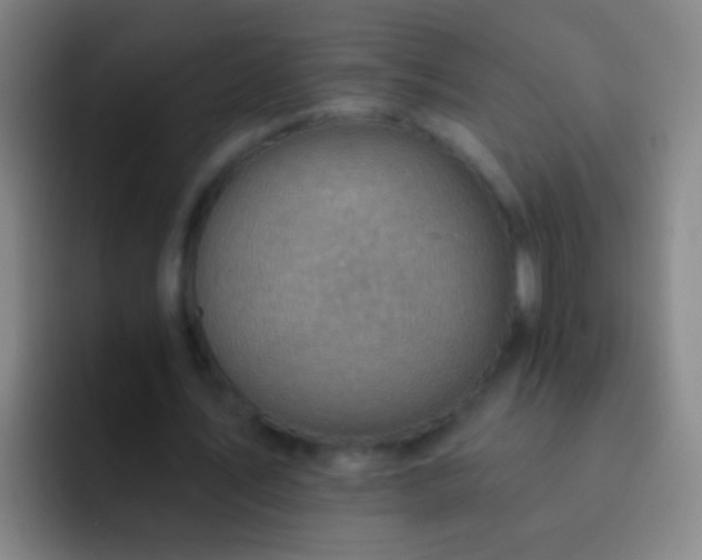 X0000092300579200709211233