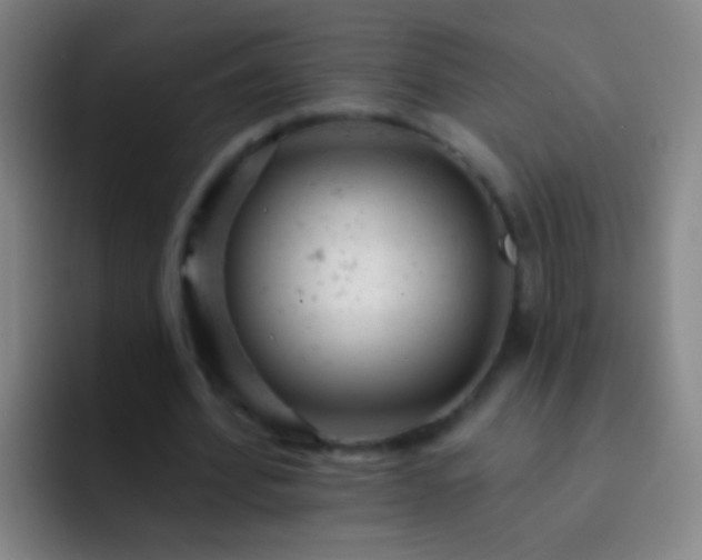 X0000092300580200709211233