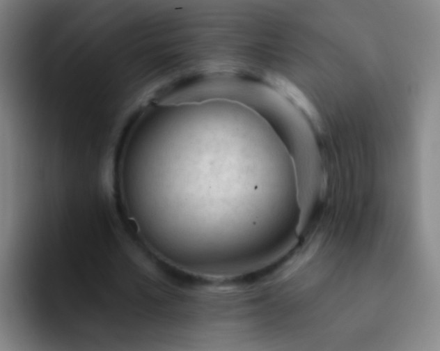 X0000092300581200709211233