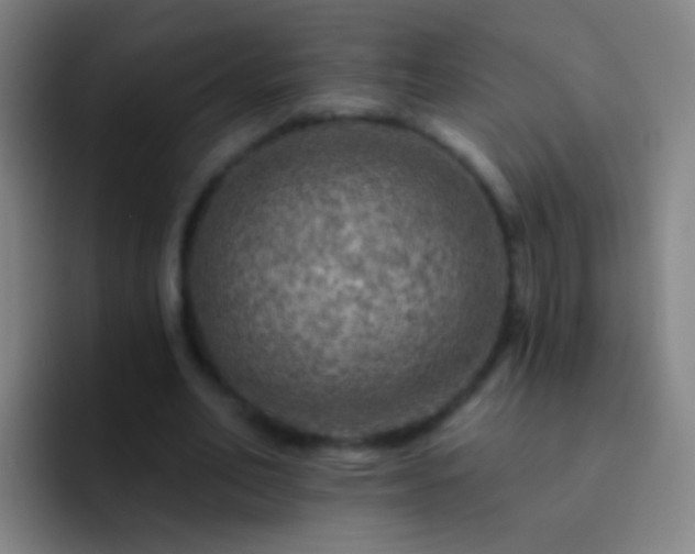 X0000092300582200709211233