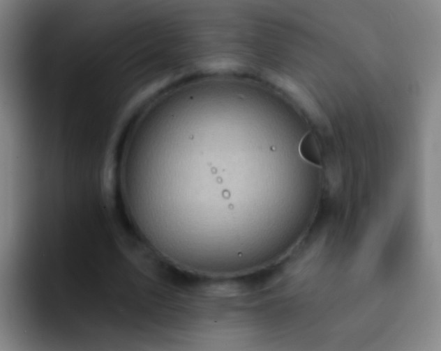 X0000092300583200709211233