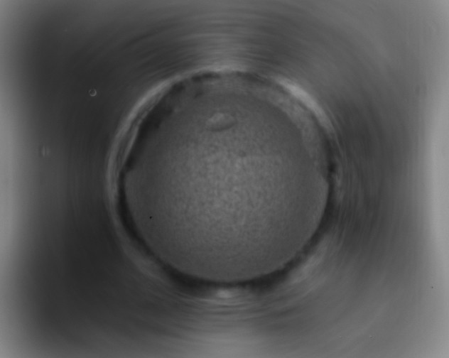 X0000092300584200709211233