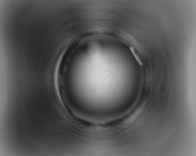 X0000092300585200709211233