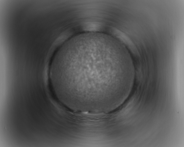 X0000092300586200709211233