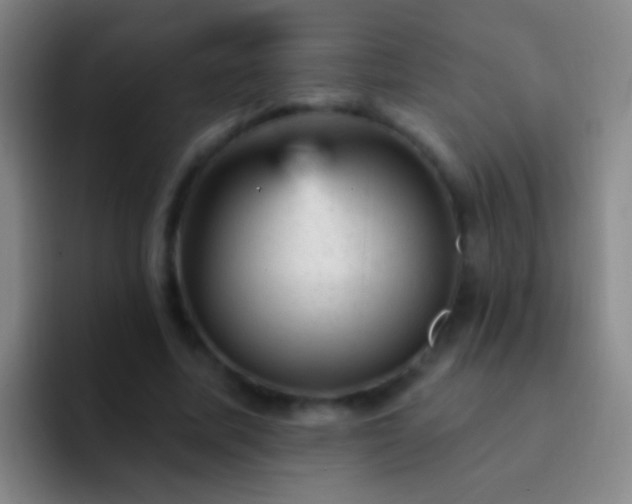 X0000092300587200709211233