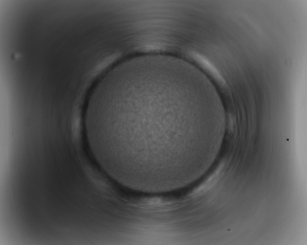 X0000092300588200709211233