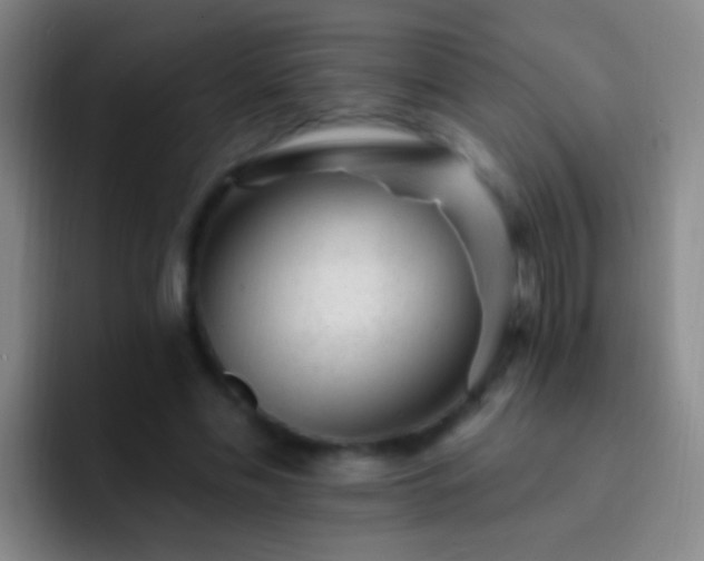 X0000092300589200709211233