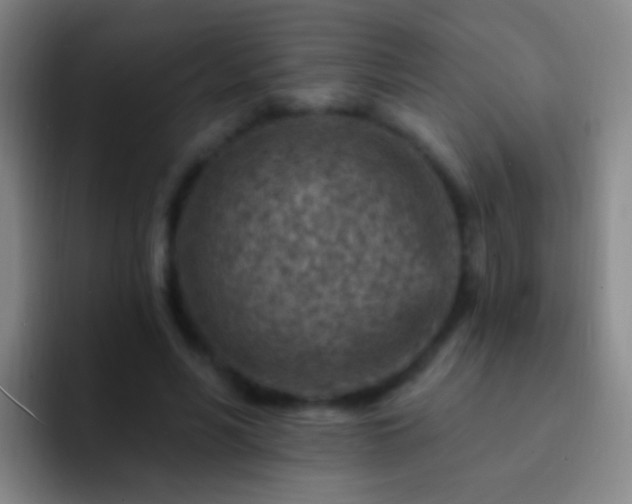 X0000092300590200709211233