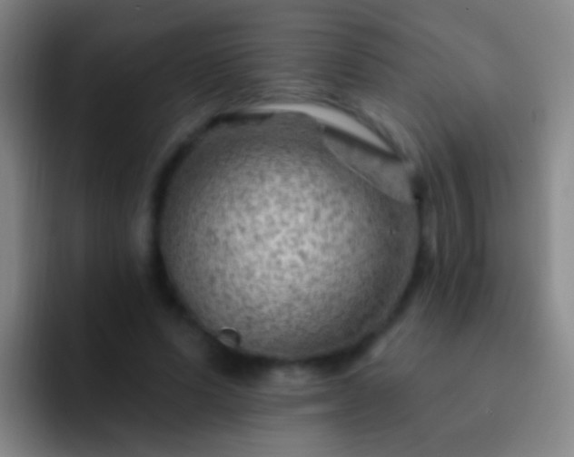 X0000092300591200709211233