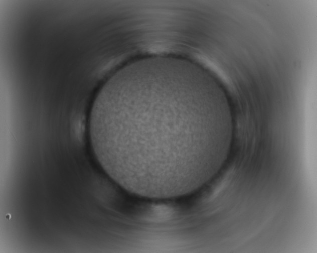 X0000092300592200709211233