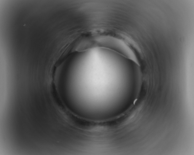 X0000092300593200709211233