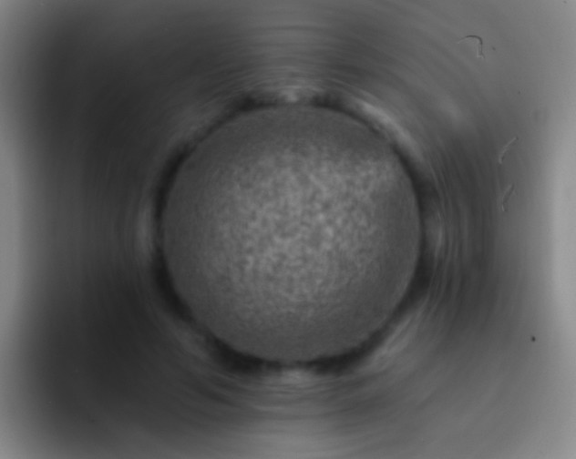 X0000092300594200709211233