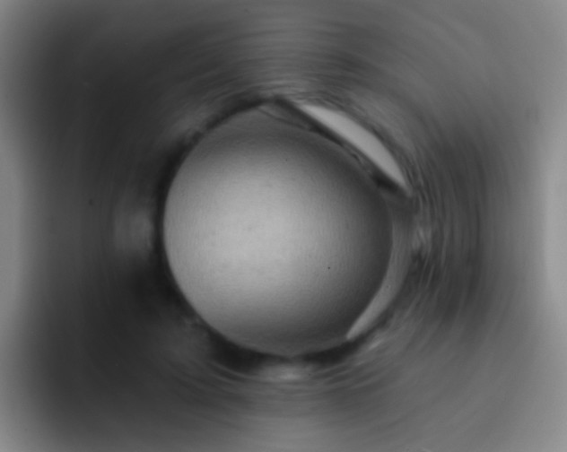 X0000092300595200709211233
