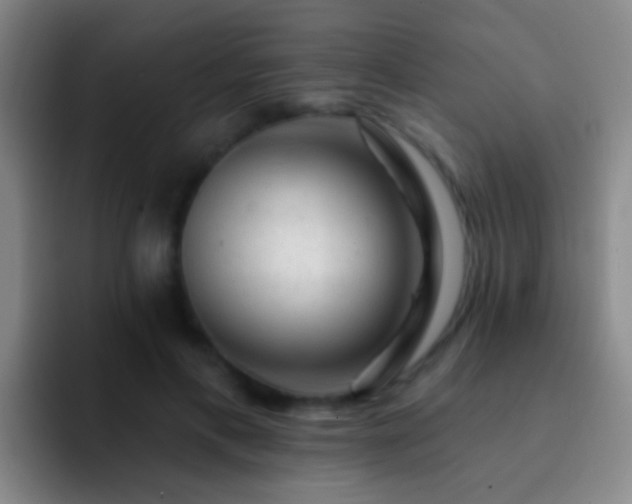 X0000092300597200709211233