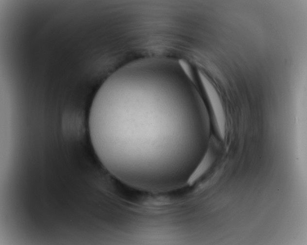 X0000092300599200709211233