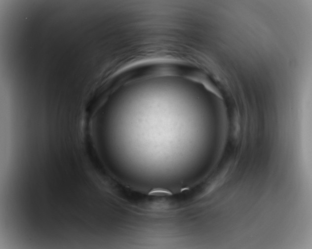 X0000092300600200709211233