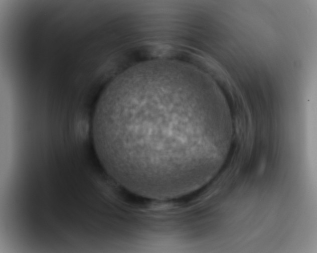 X0000092300602200709211232