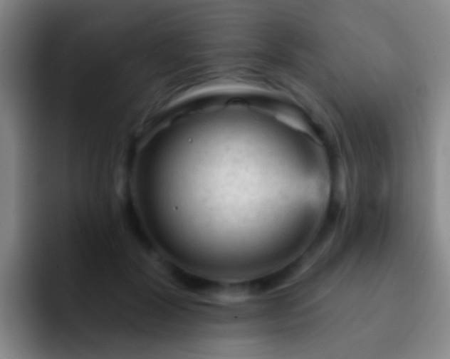 X0000092300604200709211232