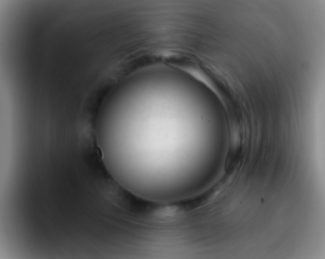 X0000092300609200709211232