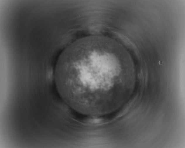 X0000092300610200709211232
