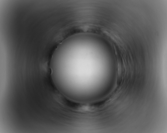X0000092300611200709211232