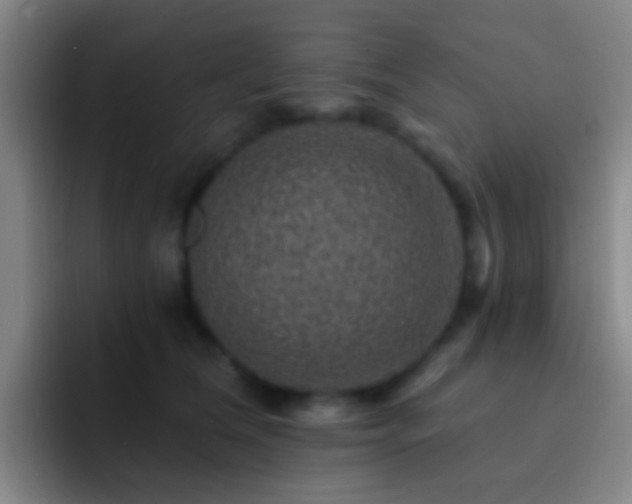 X0000092300612200709211232
