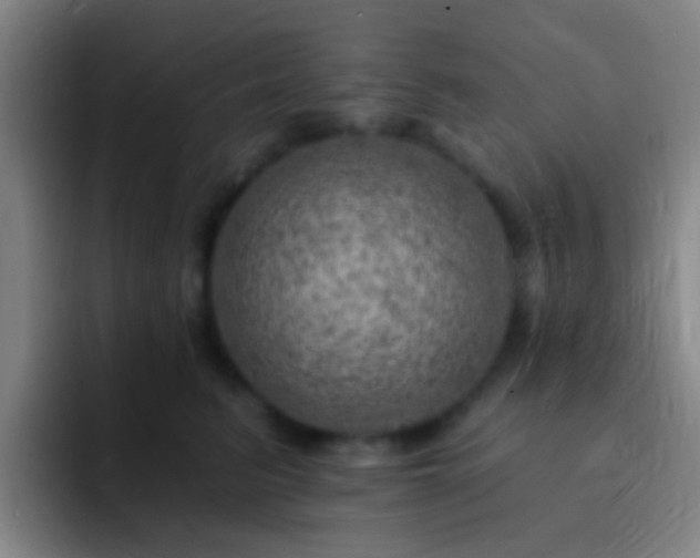 X0000092300615200709211232