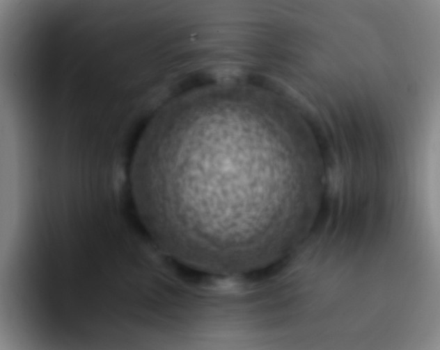 X0000092300618200709211232